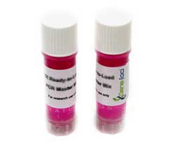 2x HotStart Taq DNA Master Mix GF1037