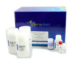 All-in-One組織細(xì)胞DNA/RNA/Protein分提試劑盒 GF2711